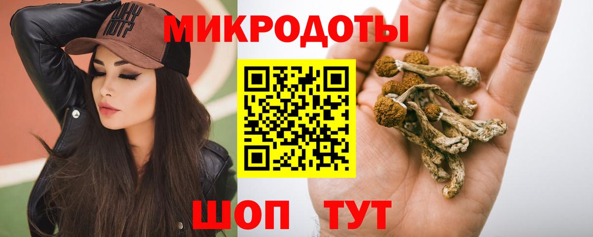 Псилоцибиновые грибы Psilocybe Бахчисарай